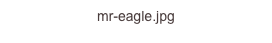 mr-eagle.jpg
