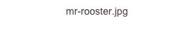 mr-rooster.jpg