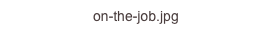on-the-job.jpg