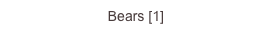 Bears [1]