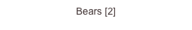 Bears [2]