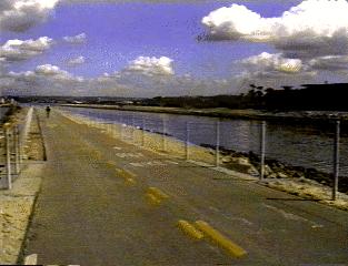 bikepath-ballona-creek.jpg (50511 bytes)