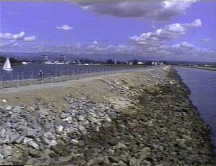 ballona-creek-north-wall.jpg (51782 bytes)