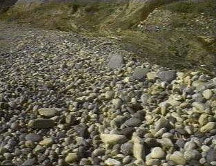 rocky-shore.jpg (67139 bytes)