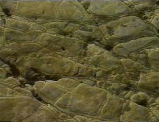 water-worn-rock-cu.jpg (60446 bytes)